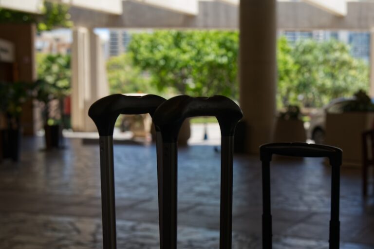 How to Choose the Right Luggage for Your Trip